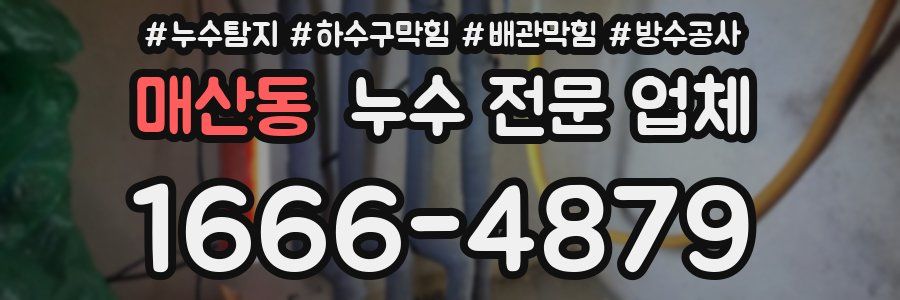 매산동 누수 전문 업체