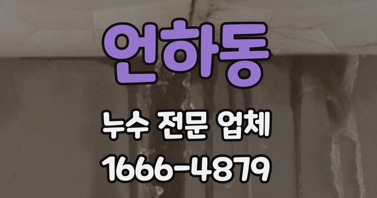 언하동 누수 전문 업체