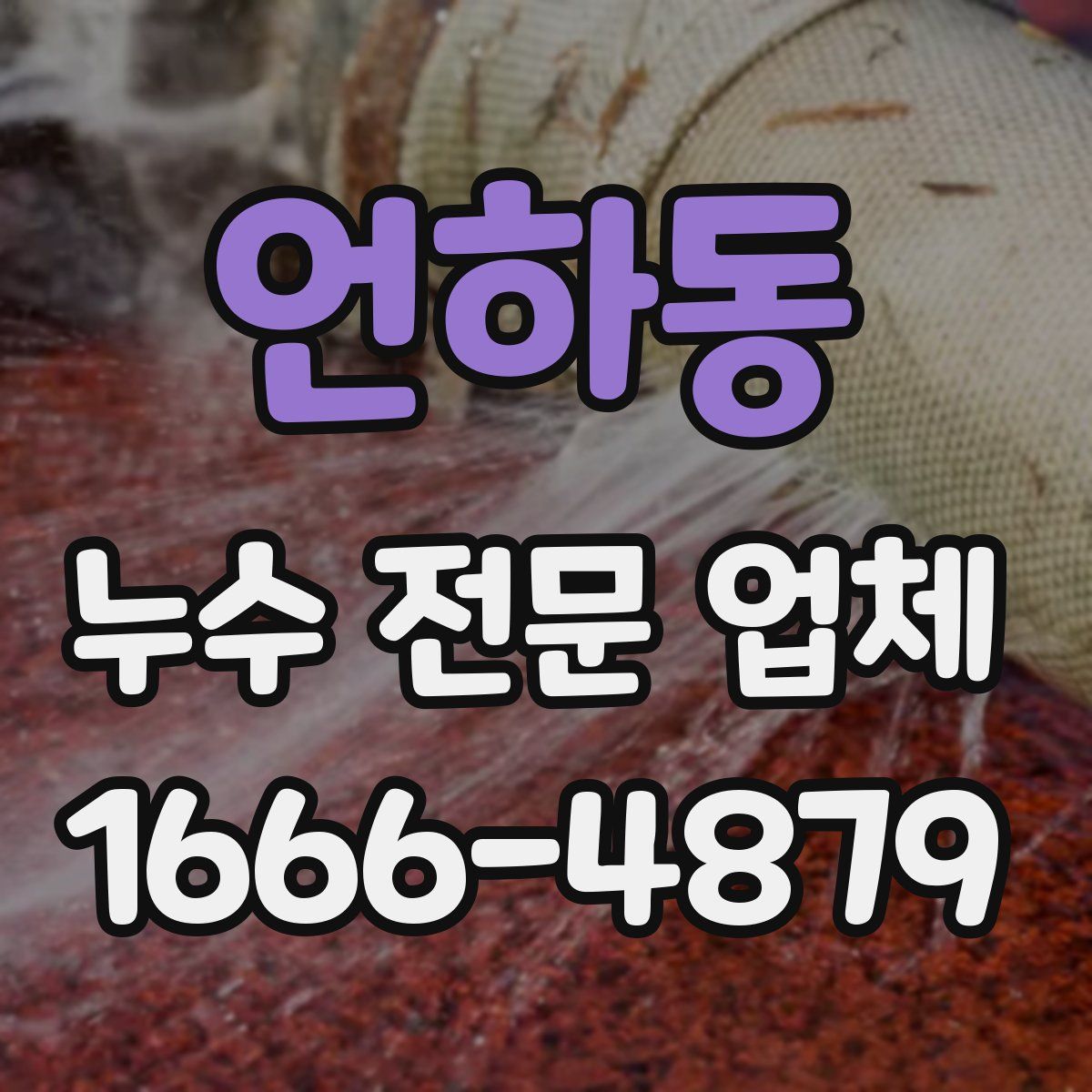 언하동 누수 전문 업체