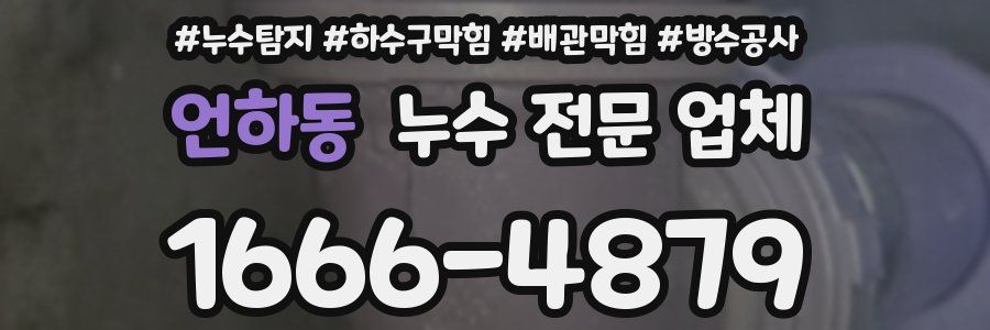 언하동 누수 전문 업체