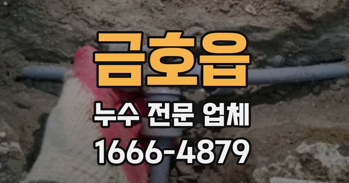 금호읍 누수 전문 업체