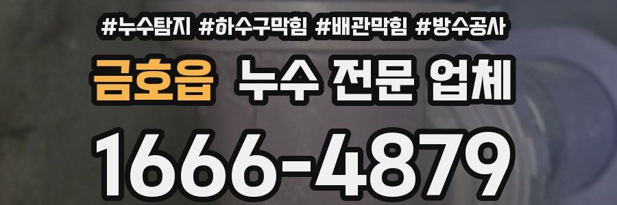 금호읍 누수 전문 업체