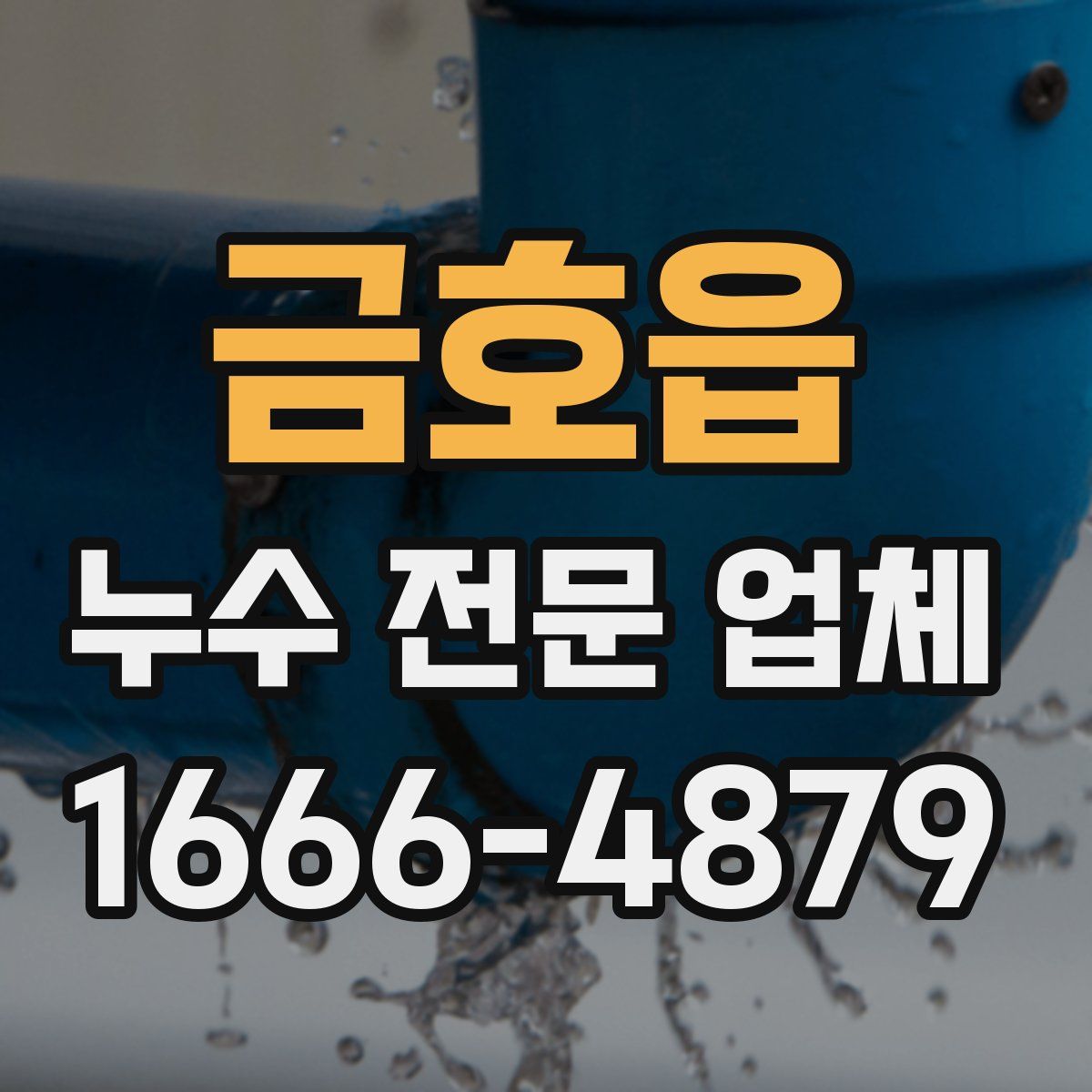 금호읍 누수 전문 업체