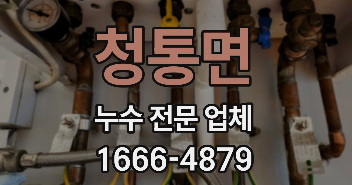 청통면 누수 전문 업체