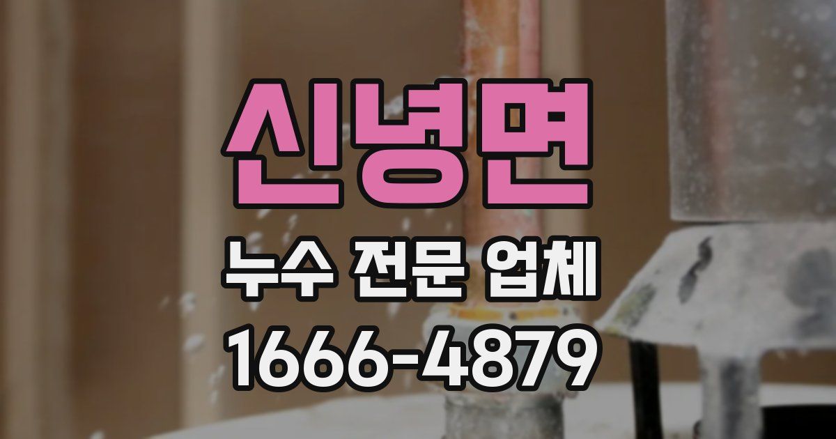 신녕면 누수 전문 업체