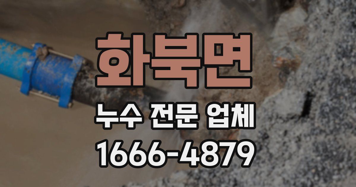 화북면 누수 전문 업체