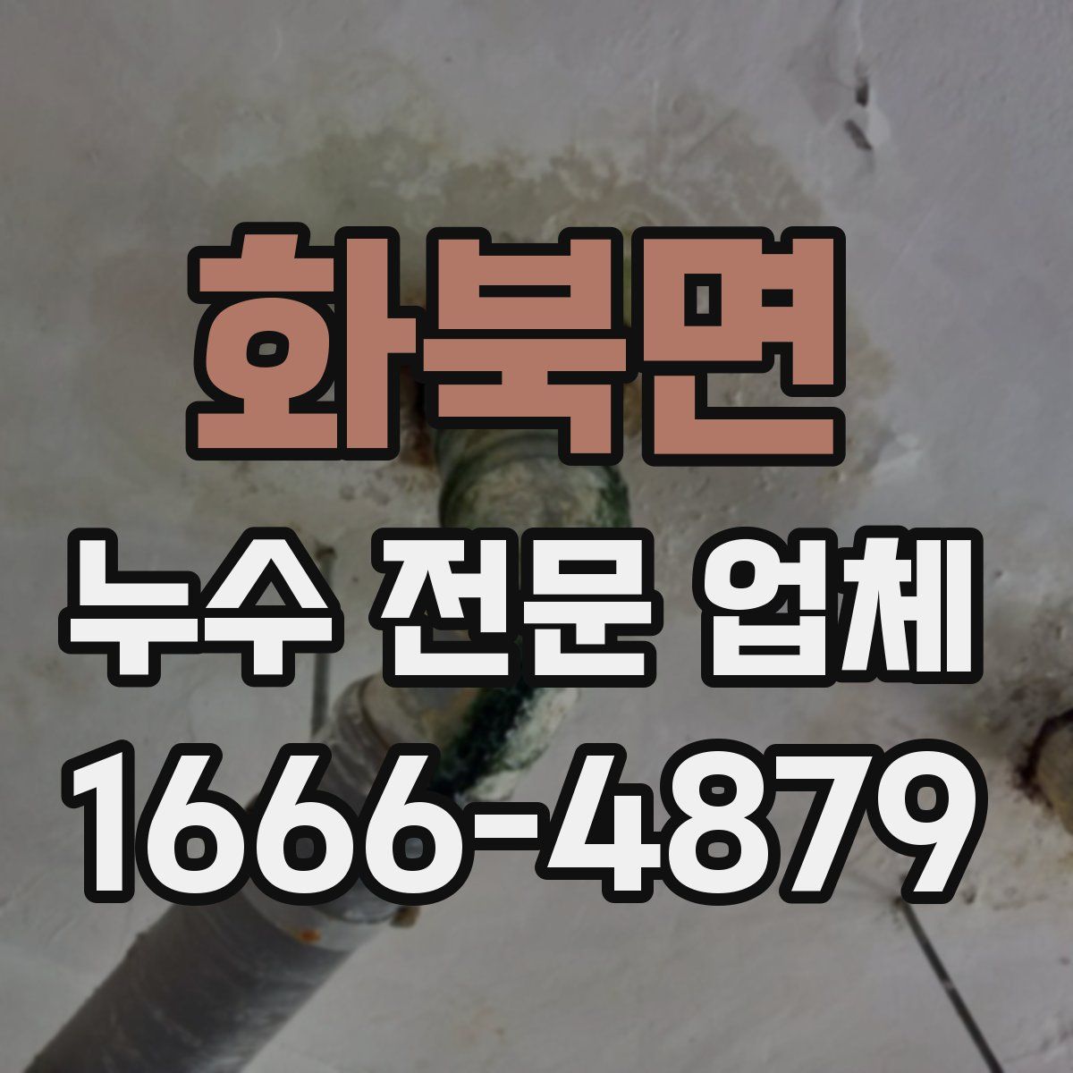 화북면 누수 전문 업체