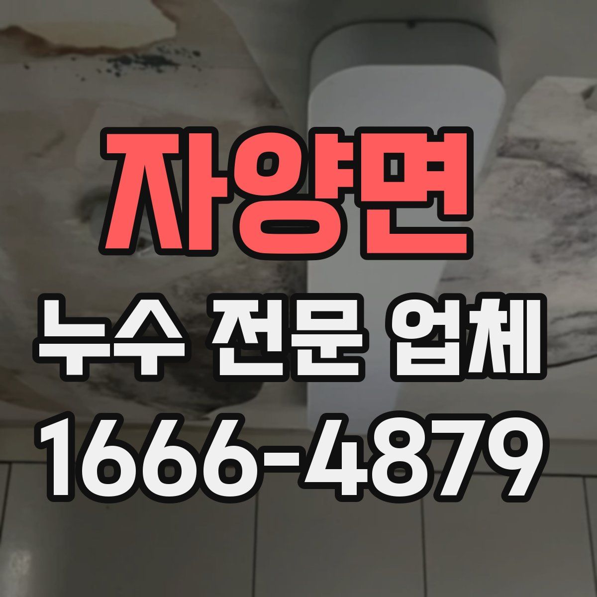 자양면 누수 전문 업체