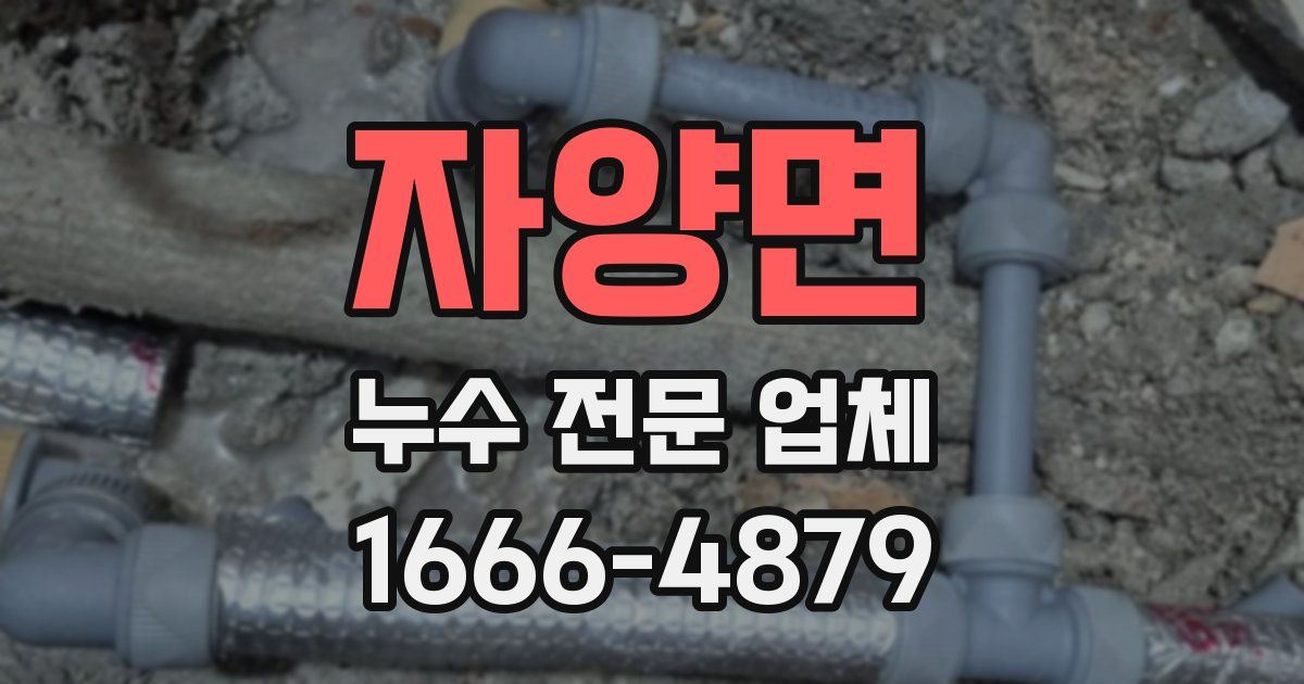 자양면 누수 전문 업체
