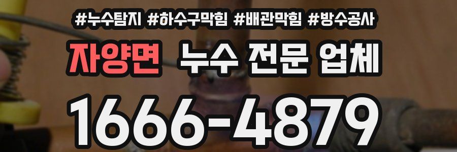 자양면 누수 전문 업체