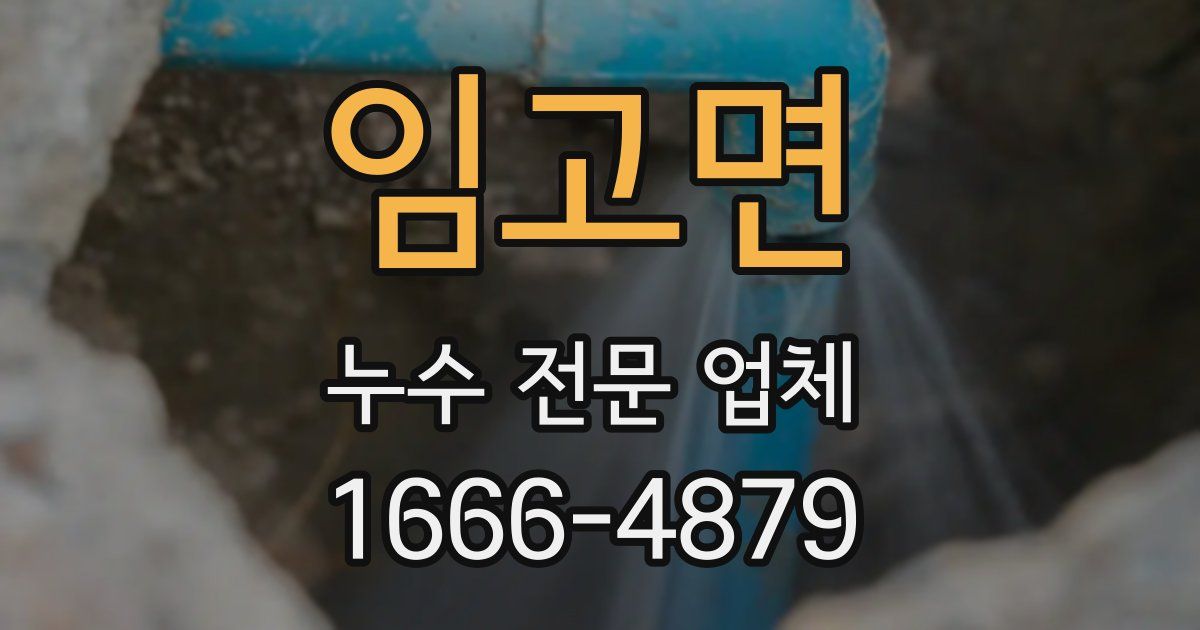 임고면 누수 전문 업체