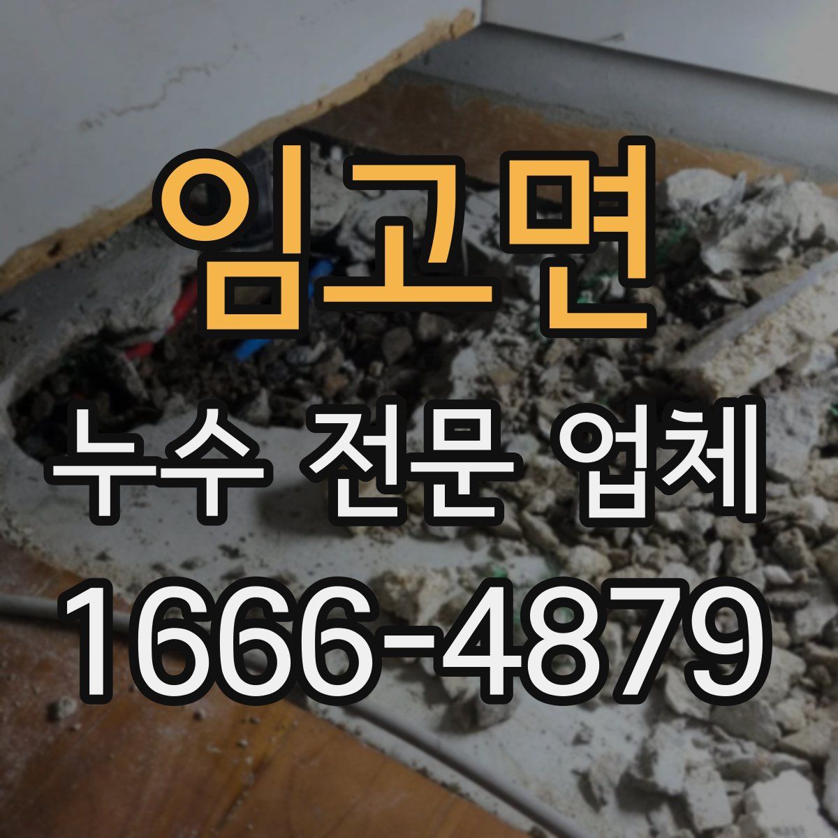 임고면 누수 전문 업체