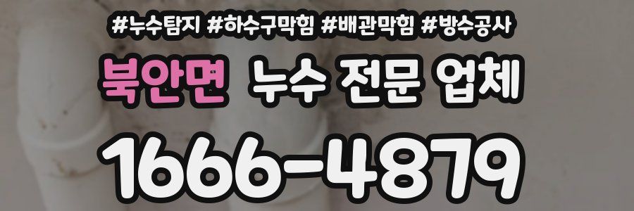 북안면 누수 전문 업체