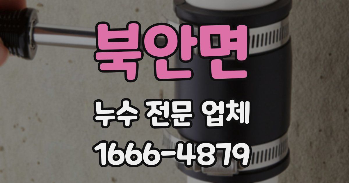 북안면 누수 전문 업체