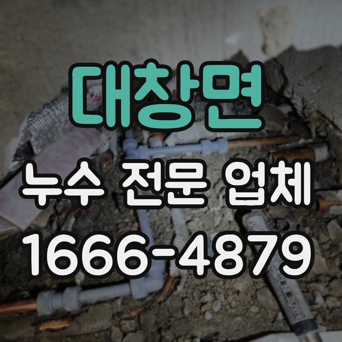 대창면 누수 전문 업체
