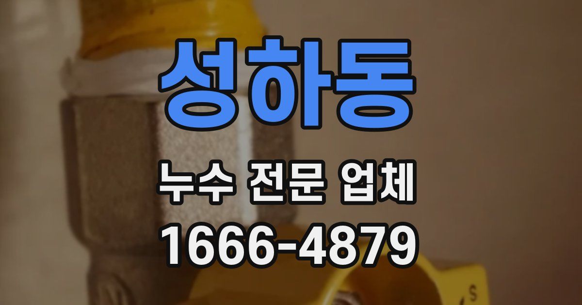 성하동 누수 전문 업체