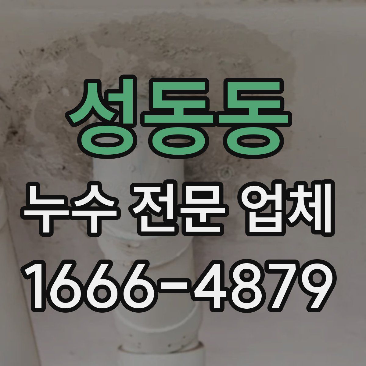 성동동 누수 전문 업체