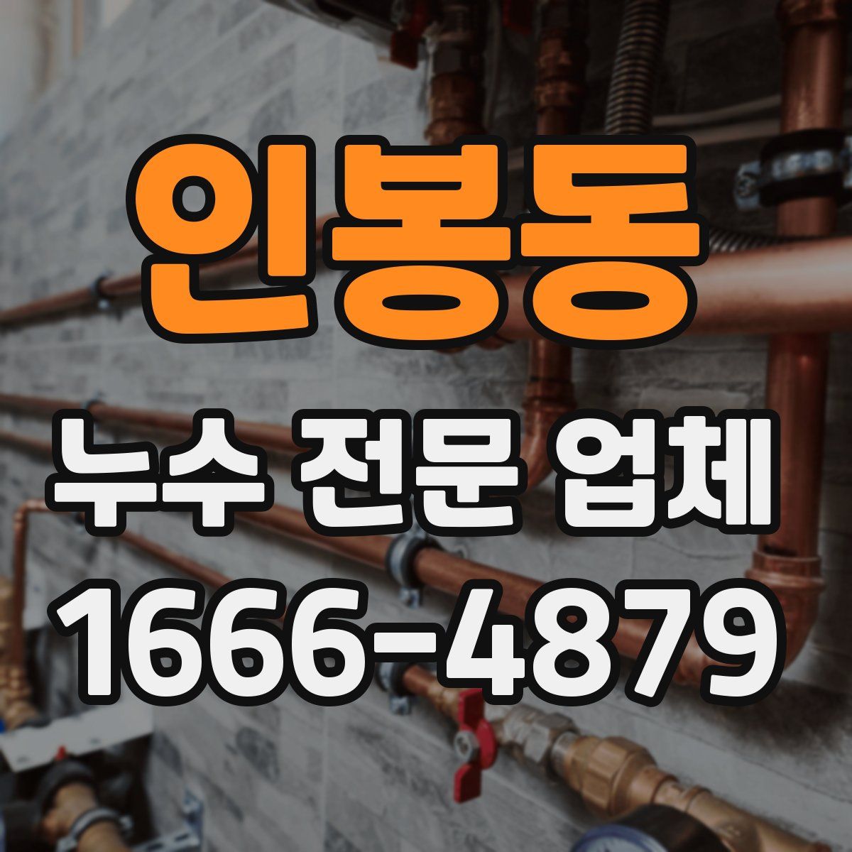 인봉동 누수 전문 업체