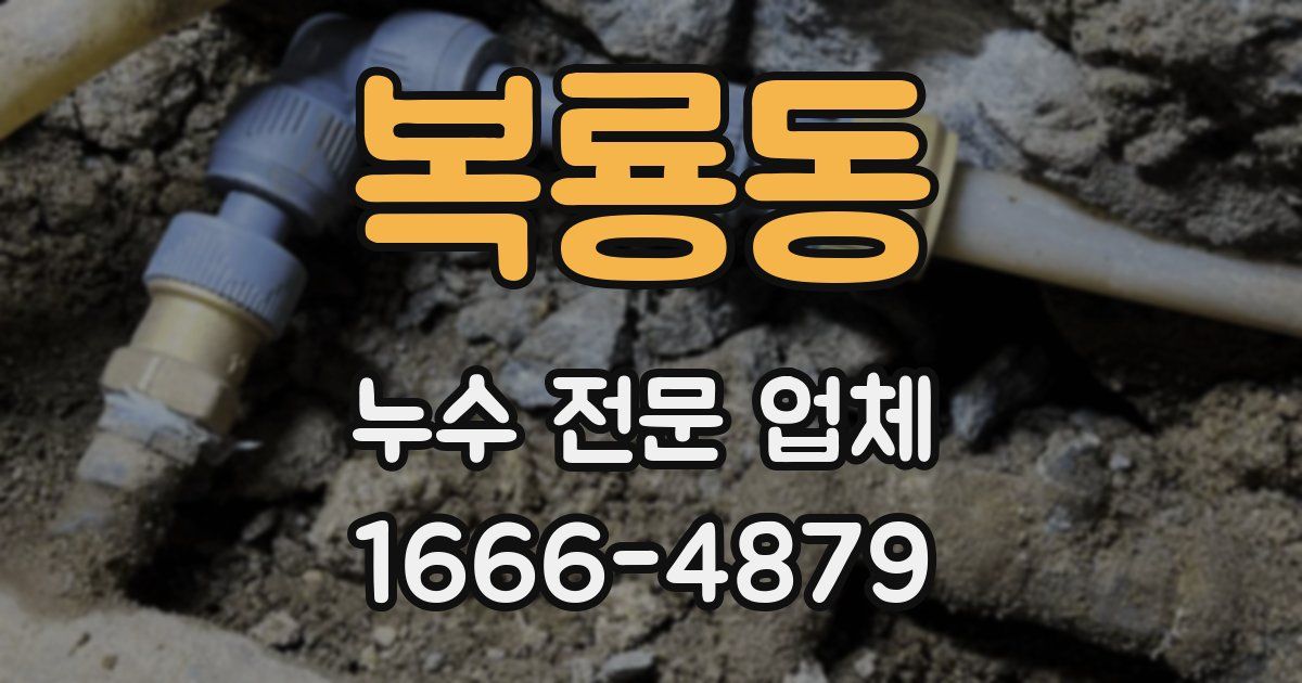 복룡동 누수 전문 업체