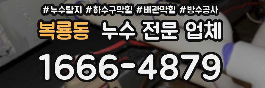 복룡동 누수 전문 업체