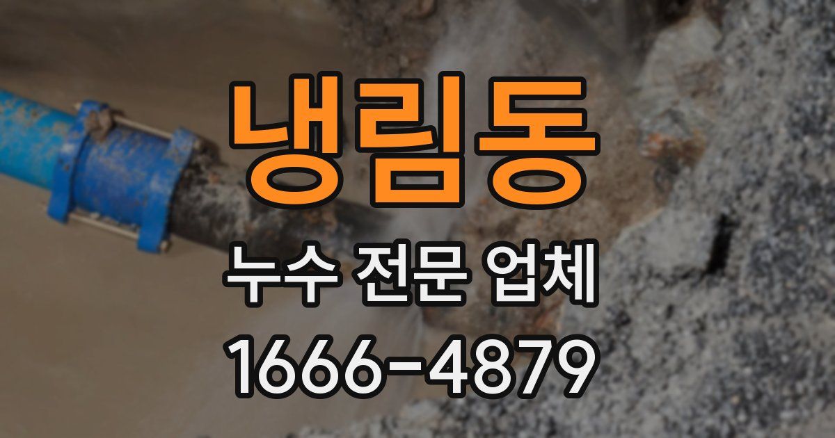 냉림동 누수 전문 업체
