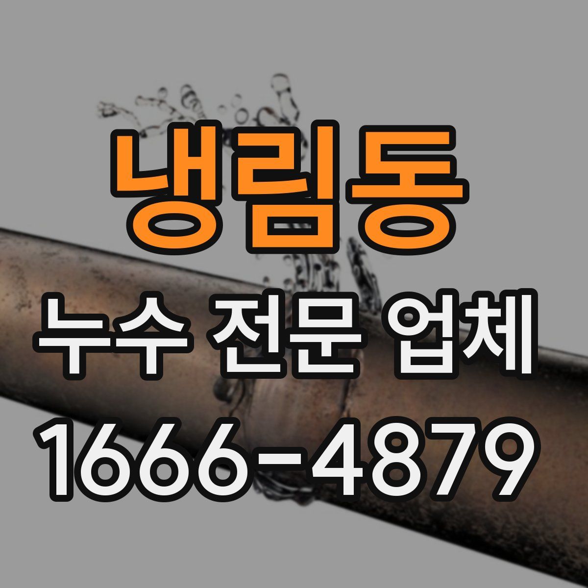 냉림동 누수 전문 업체