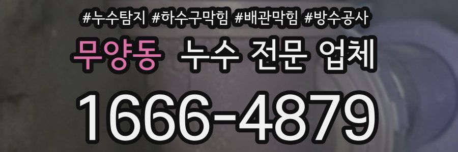 무양동 누수 전문 업체