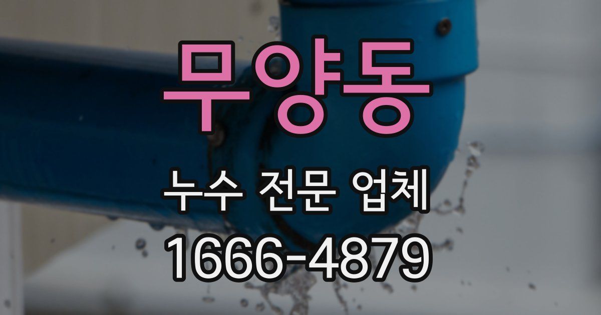 무양동 누수 전문 업체