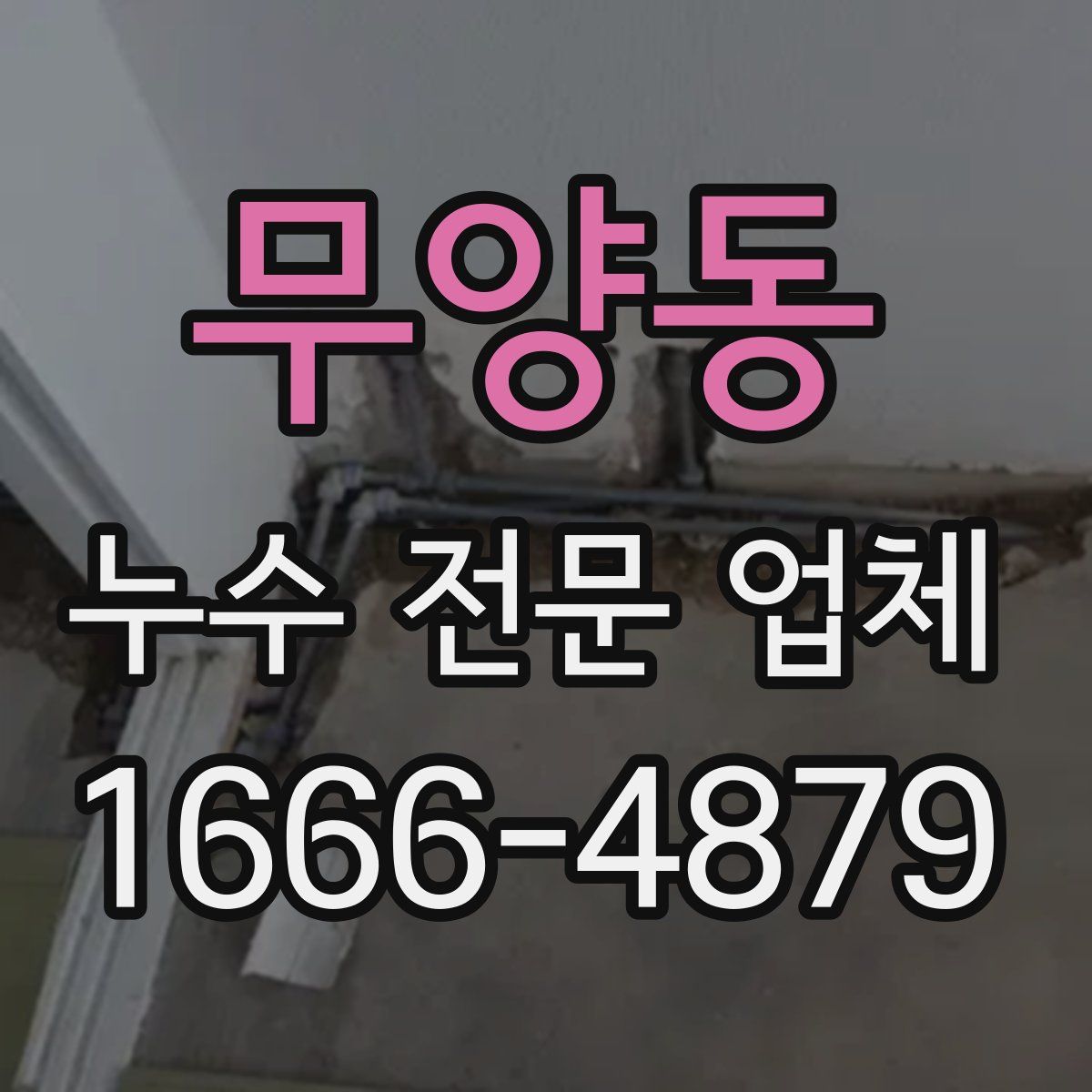 무양동 누수 전문 업체