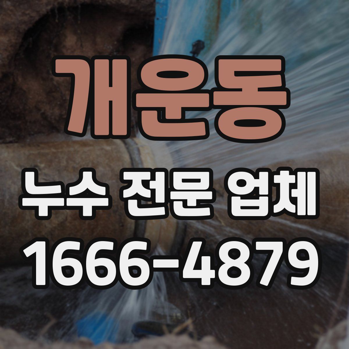 개운동 누수 전문 업체