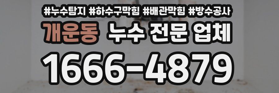 개운동 누수 전문 업체