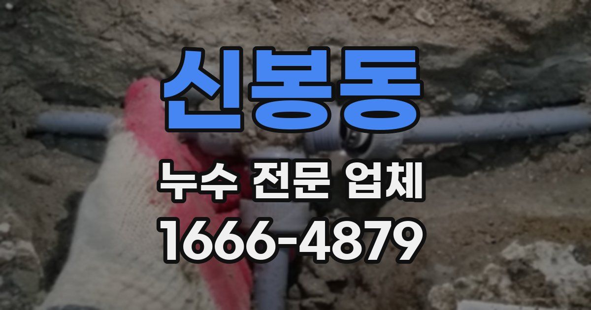 신봉동 누수 전문 업체