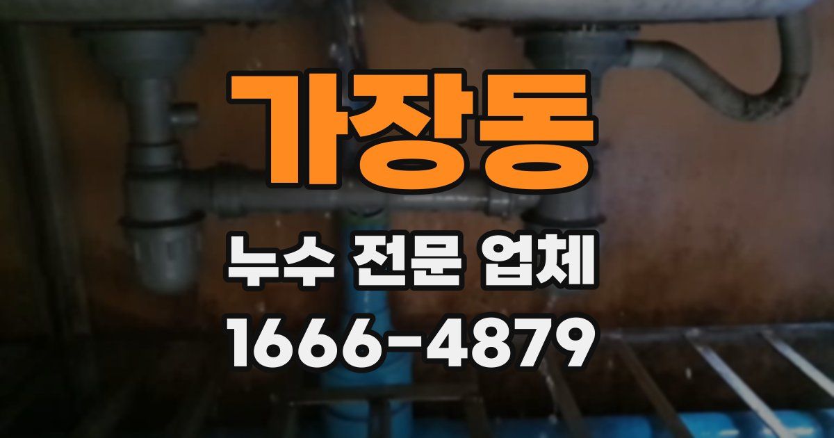 가장동 누수 전문 업체
