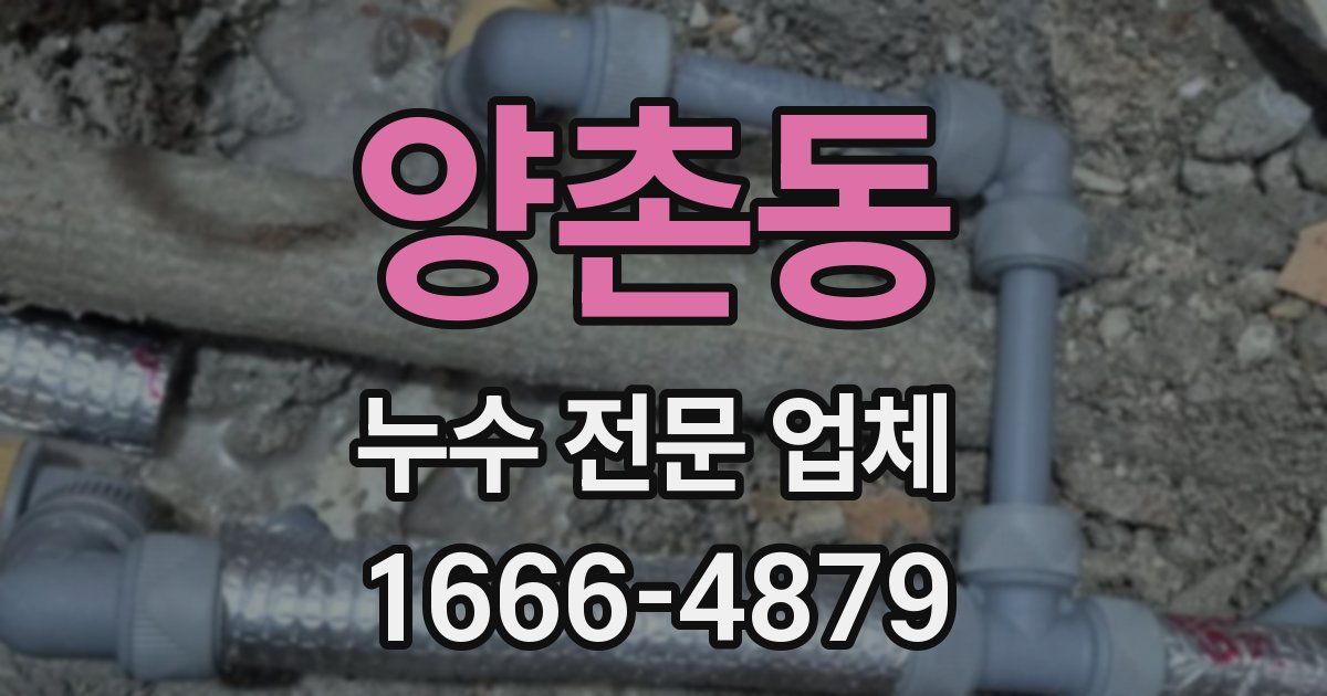 양촌동 누수 전문 업체