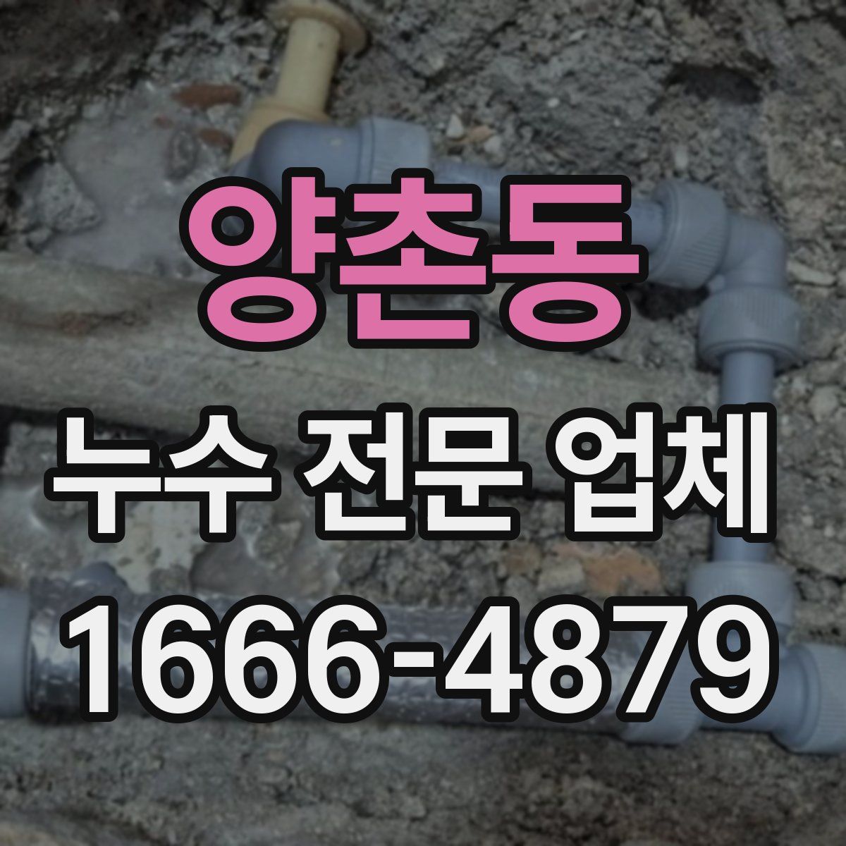 양촌동 누수 전문 업체