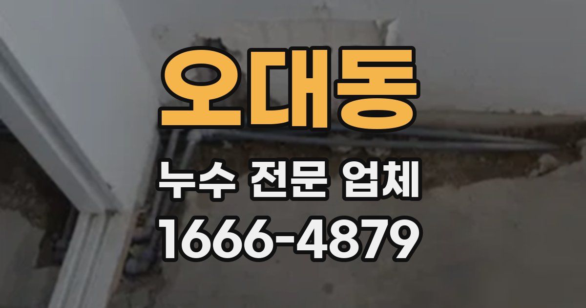 오대동 누수 전문 업체