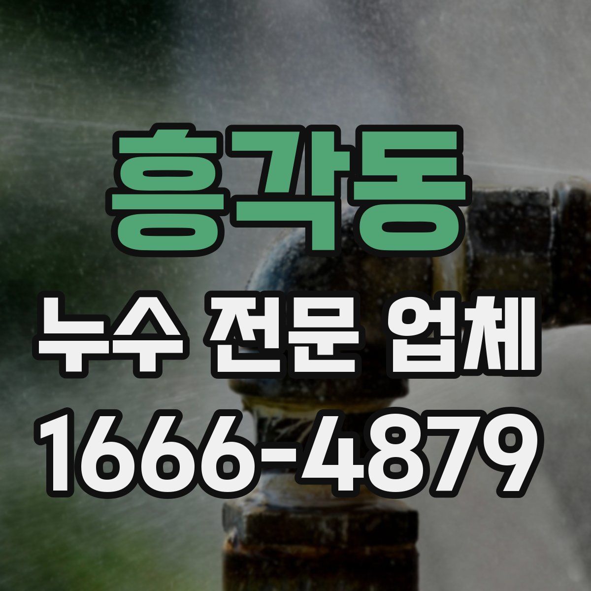 흥각동 누수 전문 업체