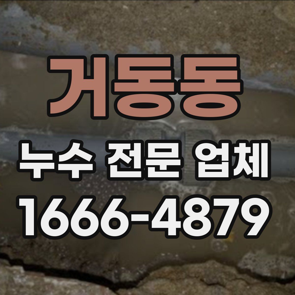 거동동 누수 전문 업체