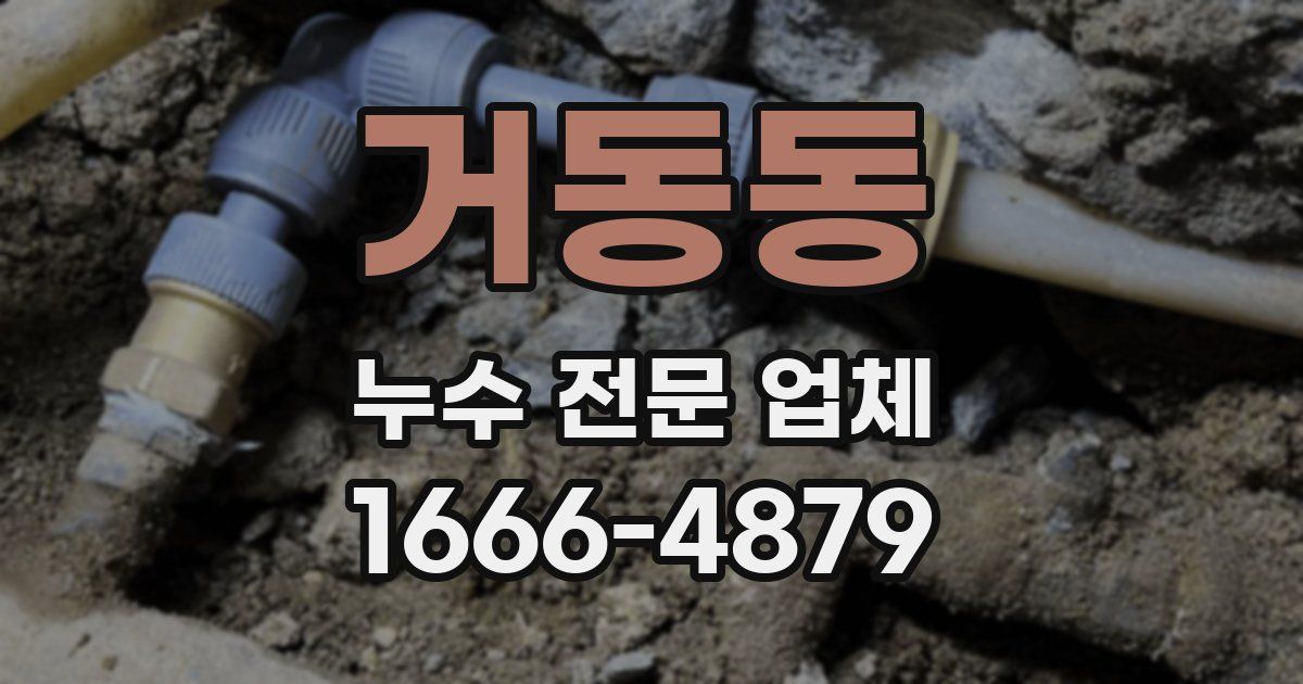 거동동 누수 전문 업체