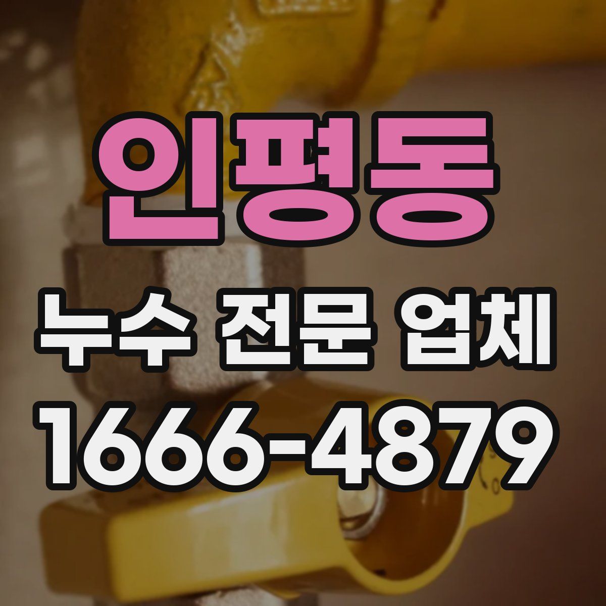 인평동 누수 전문 업체