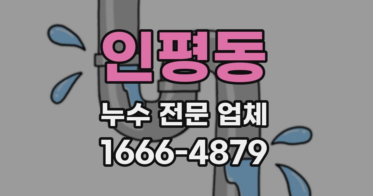 인평동 누수 전문 업체