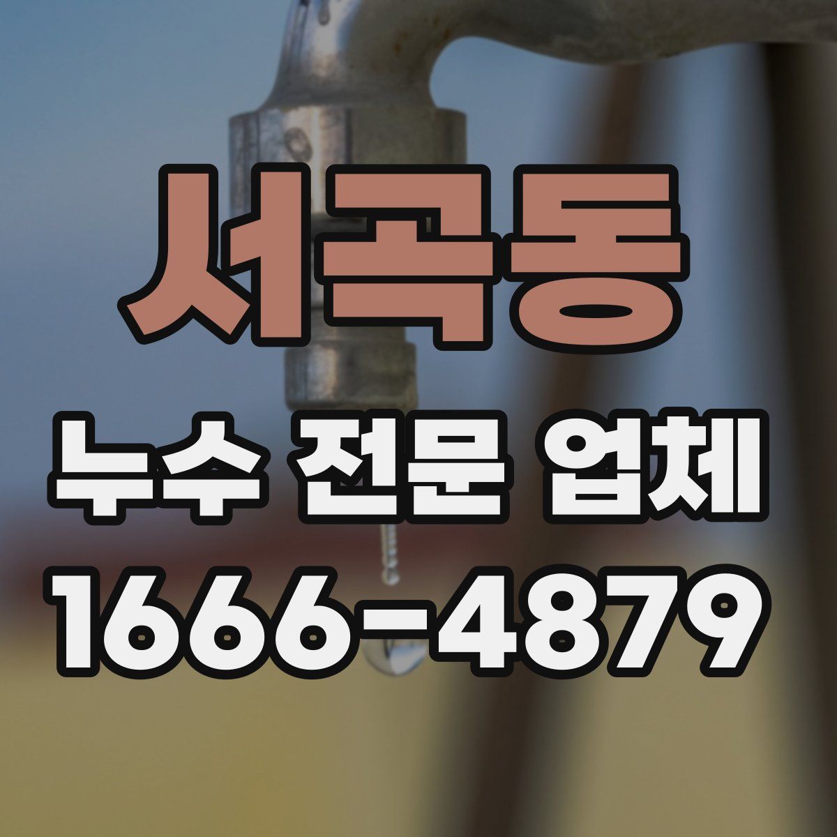 서곡동 누수 전문 업체