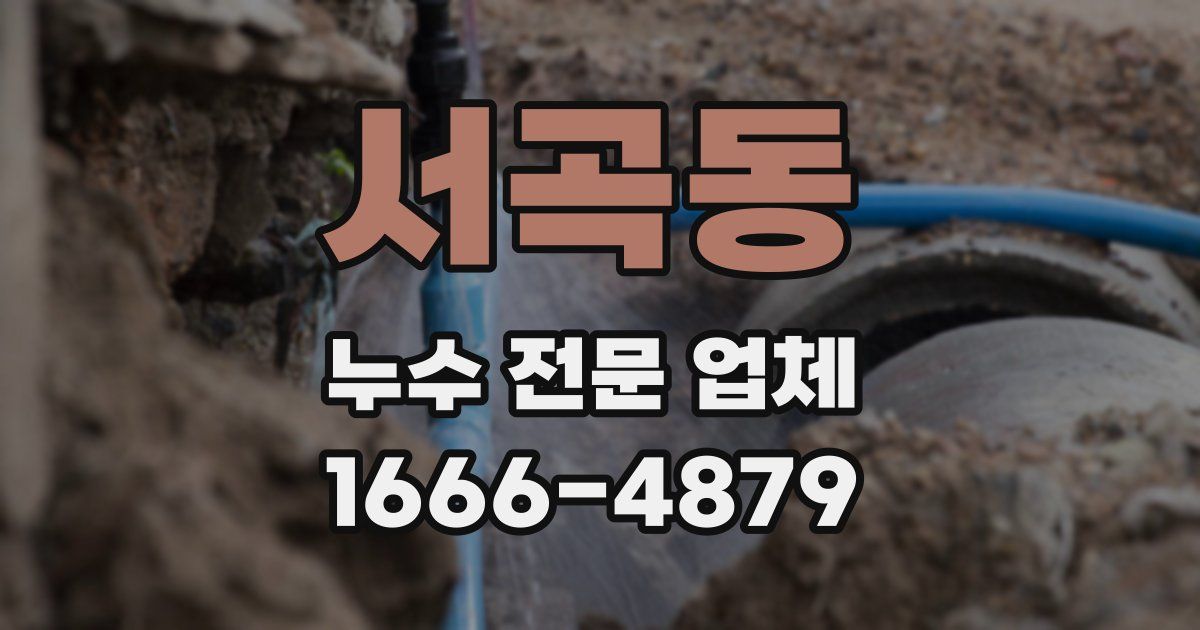 서곡동 누수 전문 업체