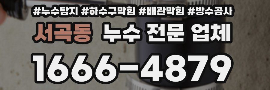 서곡동 누수 전문 업체