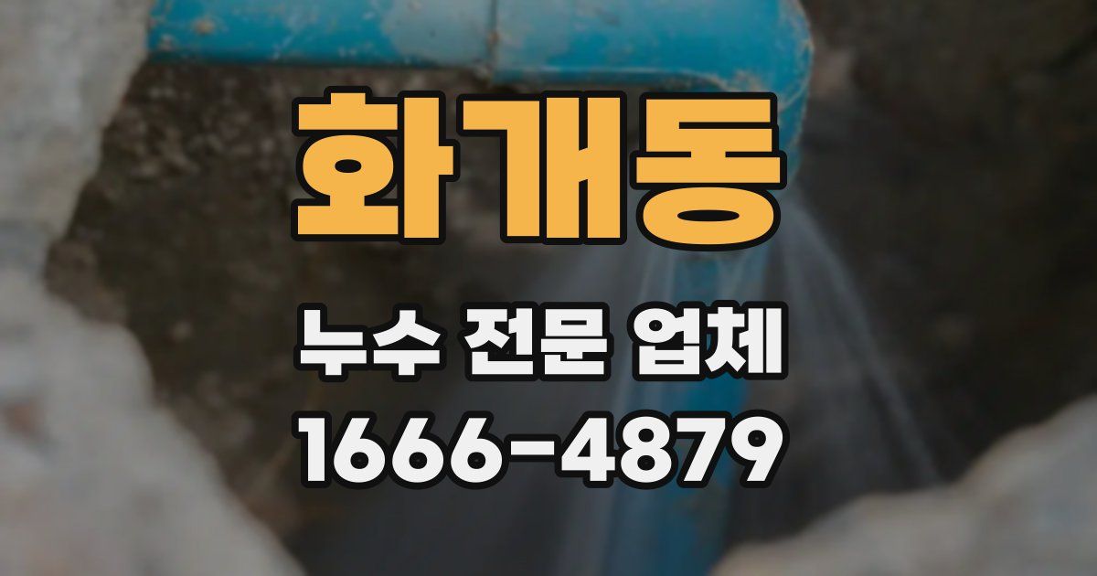 화개동 누수 전문 업체