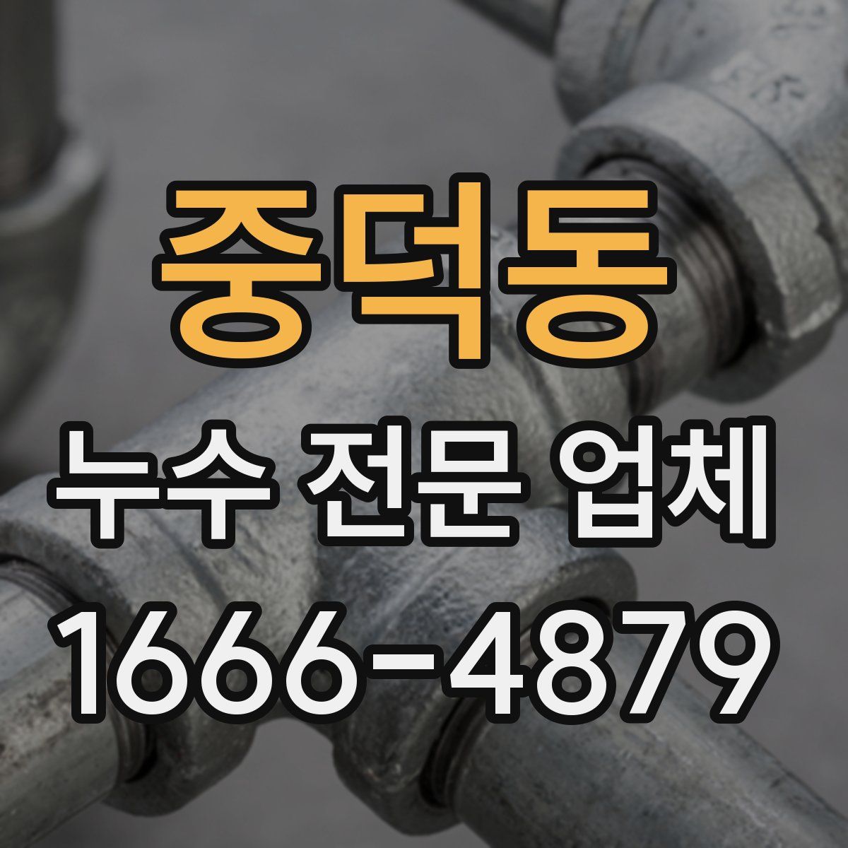 중덕동 누수 전문 업체