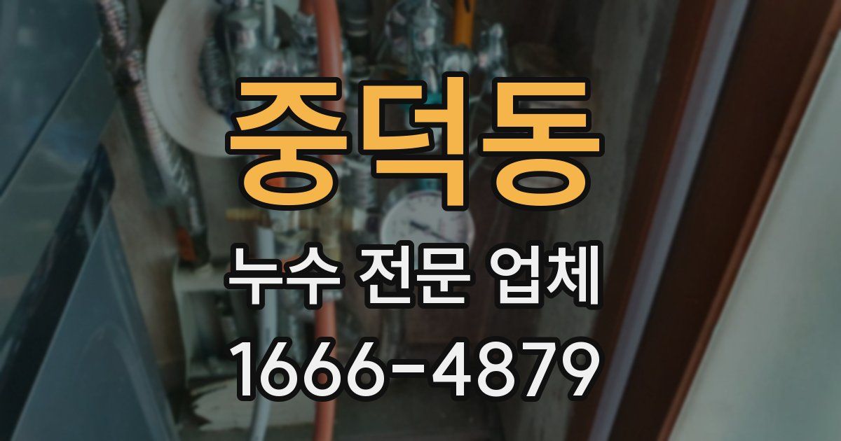 중덕동 누수 전문 업체