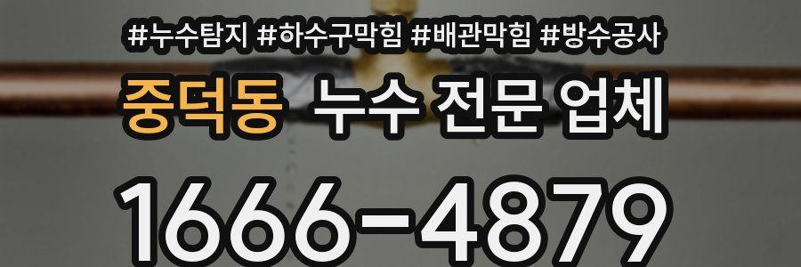 중덕동 누수 전문 업체