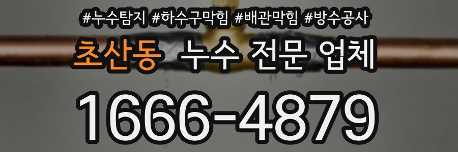초산동 누수 전문 업체