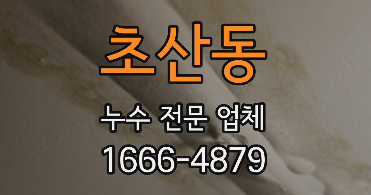 초산동 누수 전문 업체